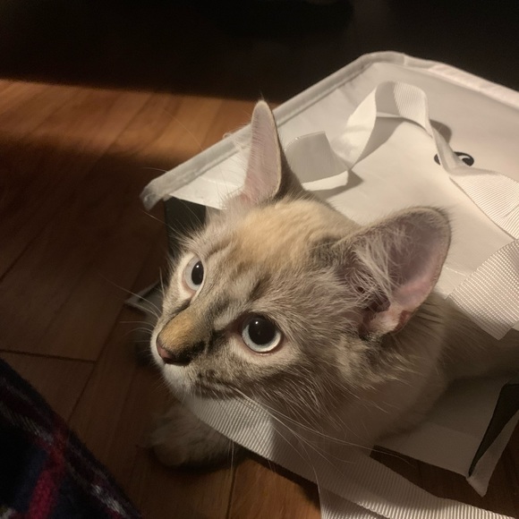 Read me! - Picture 2 of 3